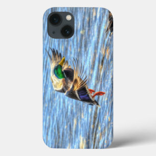 iPhone 13 Case Atterrissage du canard Mallard Drake 5 Photo de la