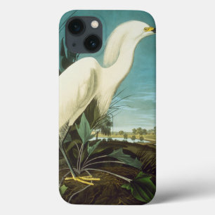 iPhone 13 Coque Audubon : Aiguille
