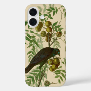 Coque Pour iPhone 16 Audubon American Crow Black Bird