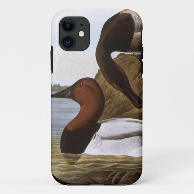 Coques Case-Mate iPhone Audubon : Canvasback (Dos)