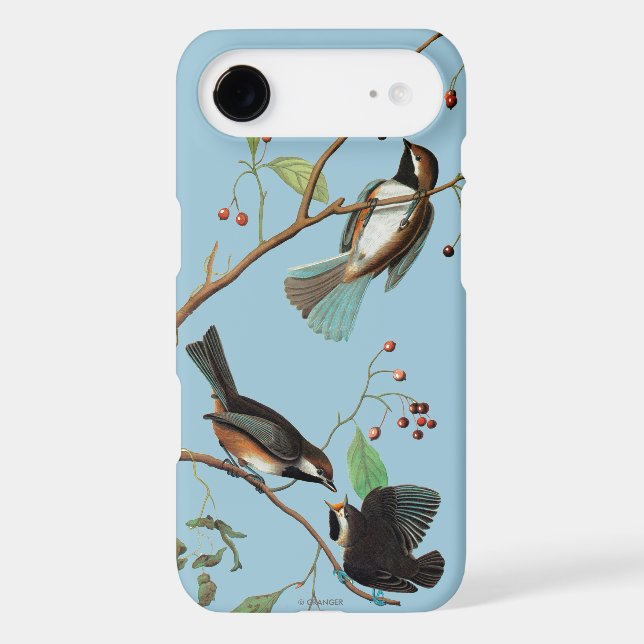 Coques Case-Mate iPhone Audubon : Chickadee (Verso)
