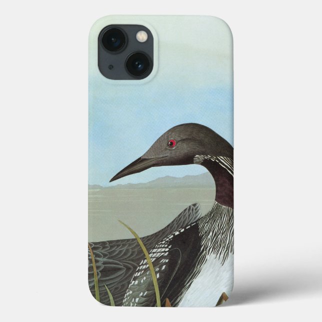 Coques Case-Mate iPhone Audubon : Dingue arctique (Verso)