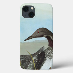 iPhone 13 Coque Audubon : Dingue arctique