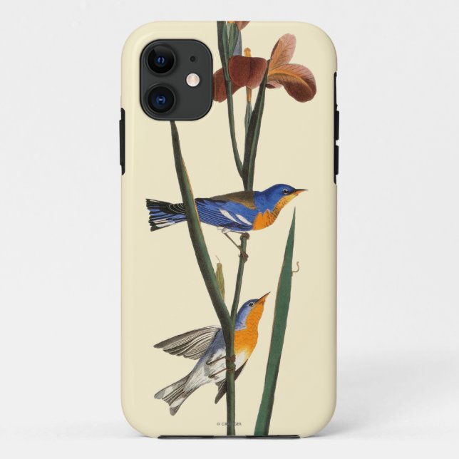 Coques Case-Mate iPhone Audubon : Fauvette (Dos)