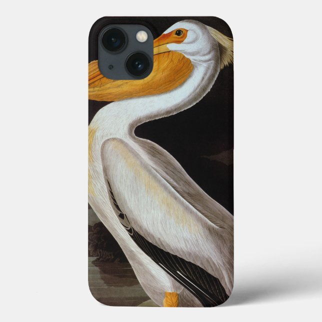 Coques Case-Mate iPhone Audubon : Great White Pelican (Verso)