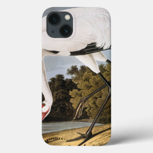iPhone 13 Coque Audubon : Grue blanche