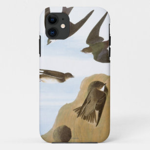Coque iPhone 11 Audubon : Hirondelles