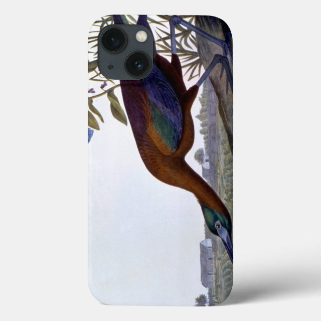 Coques Case-Mate iPhone Audubon : Ibis brillant (Verso)