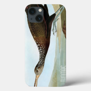 Coques Pour iPhone Audubon : Limpkin