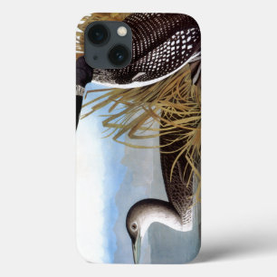 Case-Mate iPhone Case Audubon : Loon commun