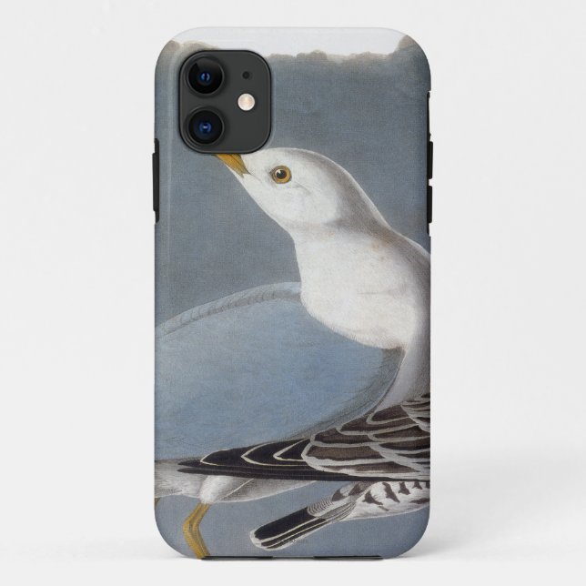 Coques Case-Mate iPhone Audubon : Mouette Anneau-Affichée (Dos)