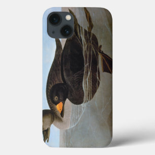 Etui iPhone 13 Audubon : Scooter noir