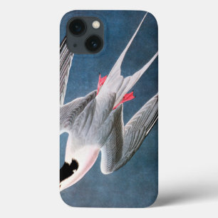 iPhone 13 Case Audubon : Sterne rose