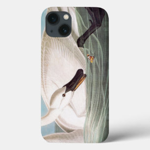 Case-Mate iPhone Case Audubon: Trumpeter Swan