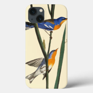 Coques Pour iPhone Audubon: Warbler