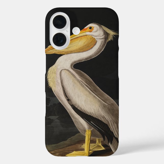 Coques Case-Mate iPhone Audubon White Pelican Bird Amérique (Verso)