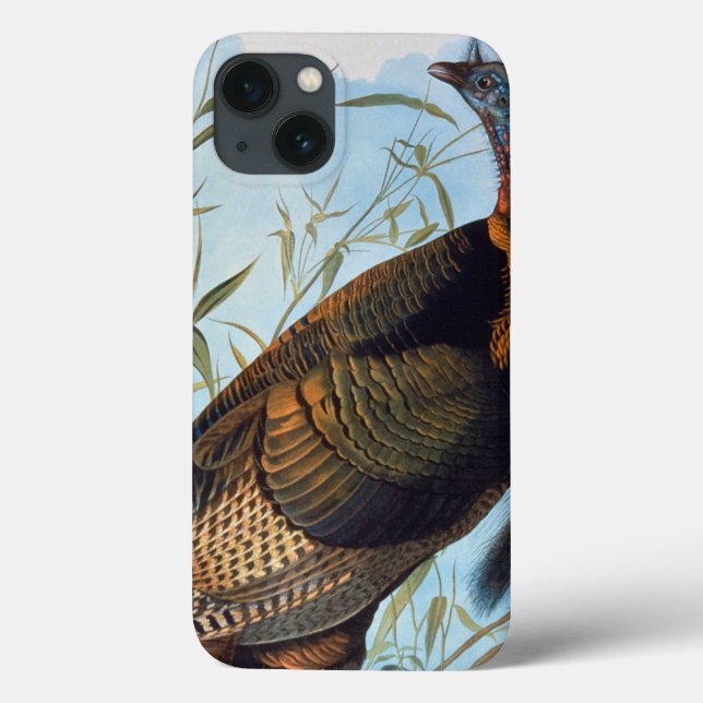 Coques Case-Mate iPhone Audubon: Wild Turkey (Verso)