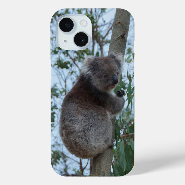 Coques Case-Mate iPhone Australie Kangaroo Island Koala dans un arbre (Verso)