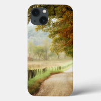 Automne sur une route de campagne