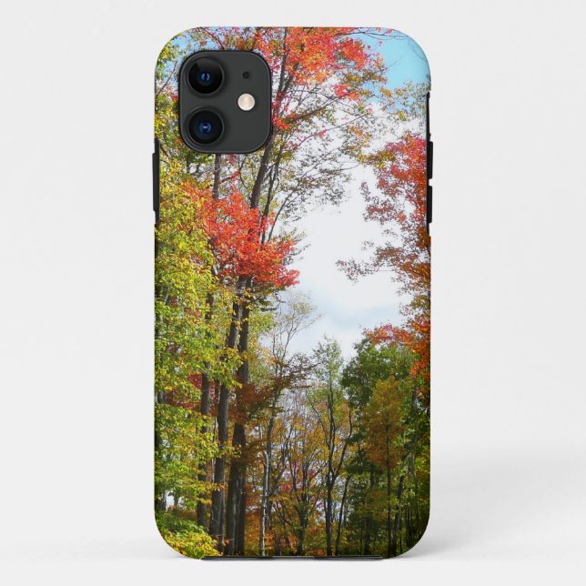 Coques Case-Mate iPhone Automnes Arbres et Ciel bleu Automne Photographie  (Dos)
