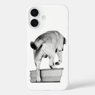 Coque Pour iPhone 16 Avance, Toujours