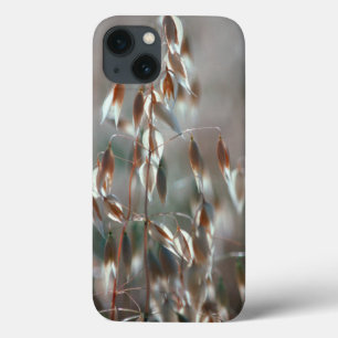 Etui iPhone 13 Avoine Mûre (Avena Sativa) Gros Plan. Ceres, Bolan