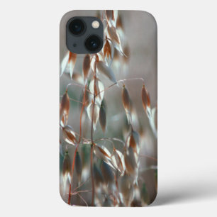 iPhone 13 Case Avoine Mûre (Avena Sativa) Gros Plan. Ceres, Bolan