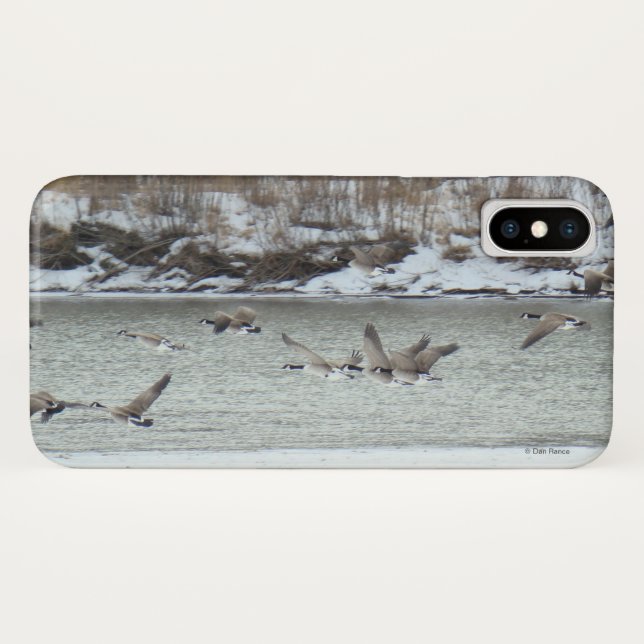 Coques Case-Mate iPhone B7 Bernaches du Canada (Dos (Horizontal))