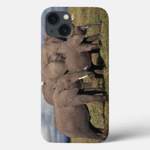 iPhone 13 Coque Baby African Elephant with family