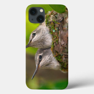 iPhone 13 Coque Baby hummingbirds