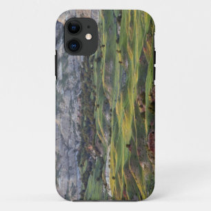 Etui iPhone Case-Mate Badlands colorés depuis le point de vue de Buck Hi