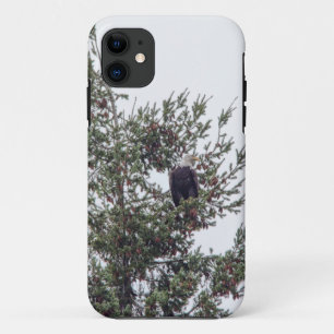 Case-Mate iPhone Case Bald Eagle P2825