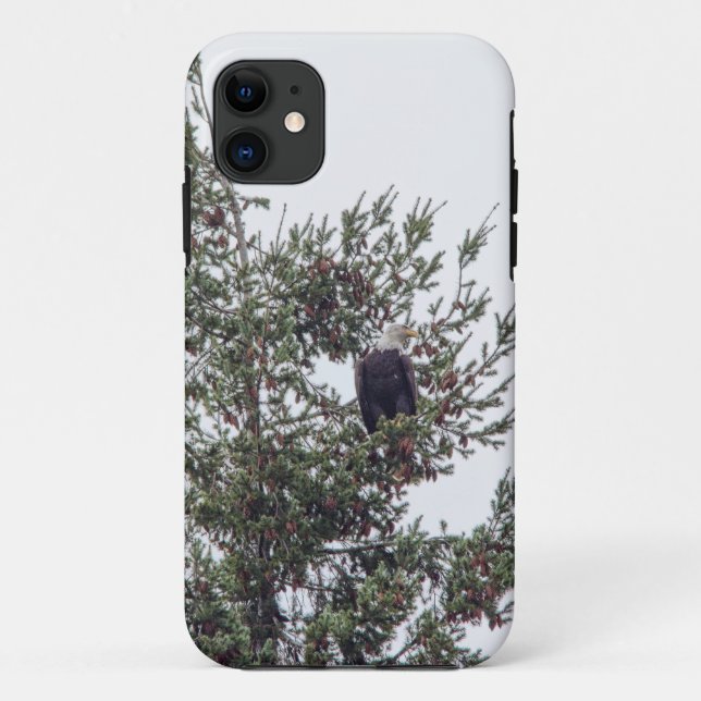 Coques Case-Mate iPhone Bald Eagle P2825 (Dos)