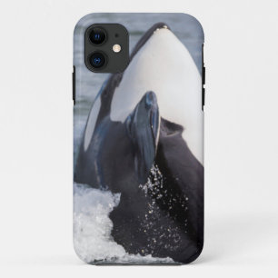 Coques Pour iPhone Baleine d'Orca