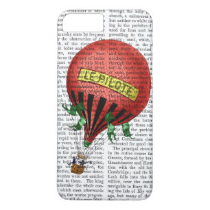 Coques Pour iPhone Ballotte à air chaud Jardin De Tuileries