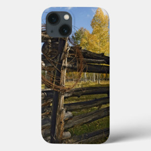 Etui iPhone 13 Barbelé