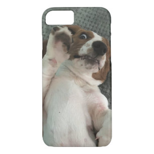Case-Mate iPhone Case Basset Hound