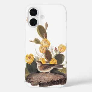 Coque Pour iPhone 16 Bassin à ailes de baie Audubon Audubon Bird