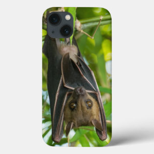 Etui iPhone Case-Mate Bat