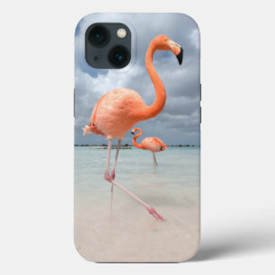 Case-Mate iPhone Case Beaches tropicales   Flamingos Beach, Aruba