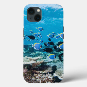 Case-Mate iPhone Case Beaches tropicales   Sturgeon