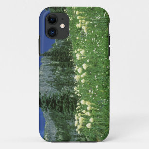 Coque Case-Mate Pour iPhone Beargrass au lac Eunice, Mt Rainier NP, WA,