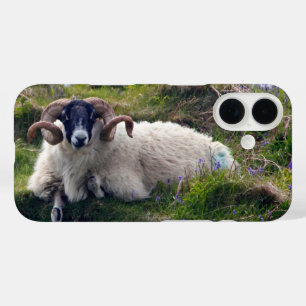 Coque Pour iPhone 16 Beau bélier à cornes cendrées à Bluebells