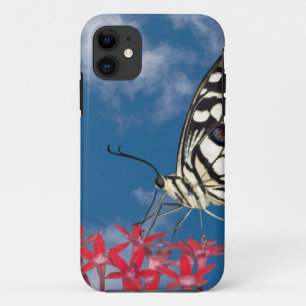 Coques Pour iPhone Beau Papillon