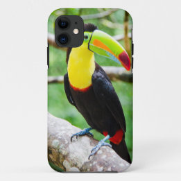 Etui iPhone Case-Mate Beau toucan
