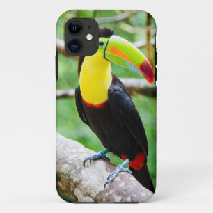 Etui iPhone Case-Mate Beau toucan