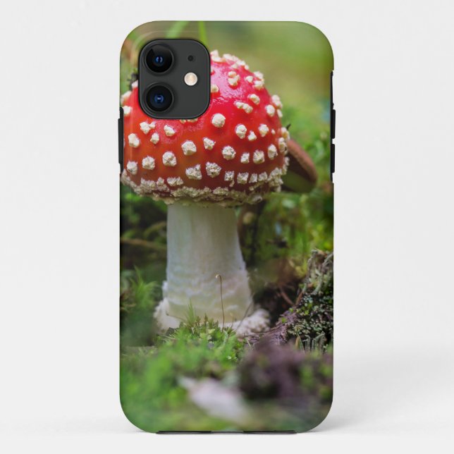 Coques Case-Mate iPhone Beauté d'automne (Dos)