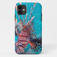 Beaux poissons rouges de lion