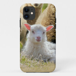 Case-Mate iPhone Case Bébé agneau mouton troupeau troupeau troupeau