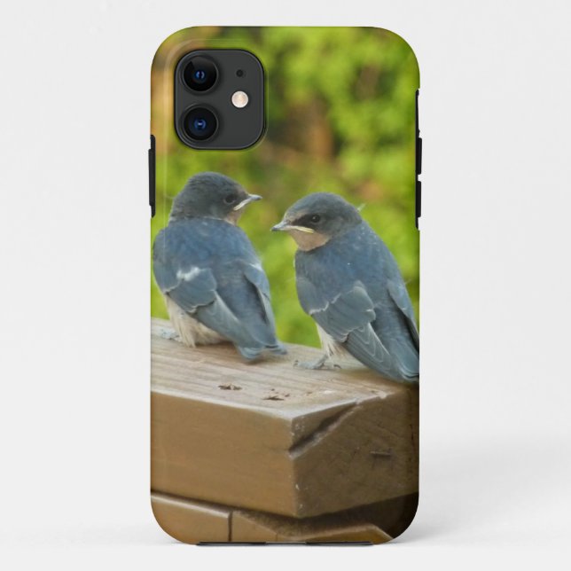 Coques Case-Mate iPhone Bébé Grange hirondelle Nature Oiseau Photographie (Dos)